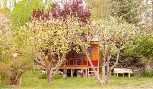 Hosteria La Farfalla تشوس مالال المظهر الخارجي الصورة
